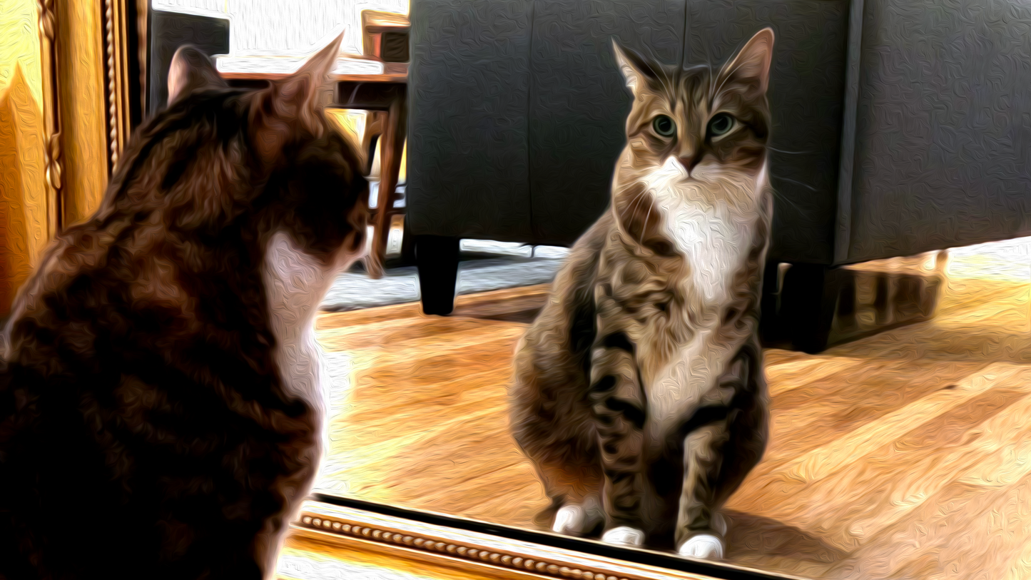 "Pretty Boy" Digital Art from ELECTRO FISH